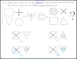 Non Verbal Intelligence Test 1