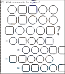 Non Verbal Intelligence Test 2