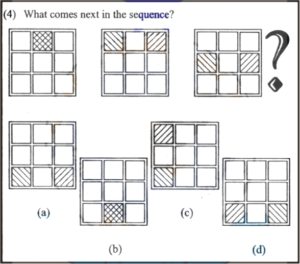 Non Verbal Intelligence Test 2