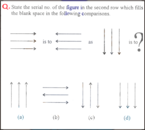 Non Verbal Intelligence Test 1