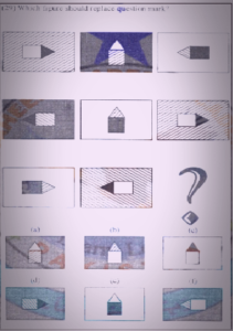 Non Verbal Intelligence Test 1