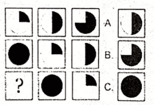 Non Verbal IQ Test