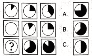 Non Verbal Test for ISSB