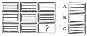 Non Verbal Test for AFNS