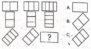 Non Verbal Test for AFNS