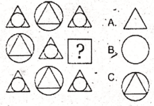 Non Verbal Test for AFNS