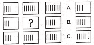 Non Verbal Test for AFNS