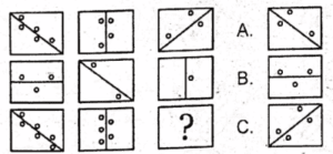 Non Verbal Test for AFNS