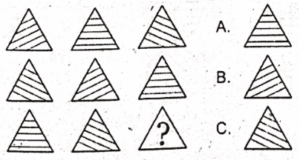 Non Verbal Test for AFNS