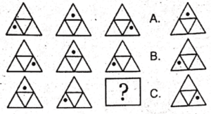 Non Verbal Test for AFNS