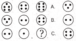 Non Verbal Test for AFNS