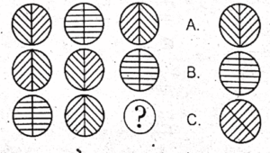 Non Verbal Army Test with Answers