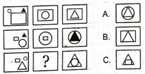 Non Verbal Army Test with Answers