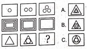 Non Verbal Army Test with Answers