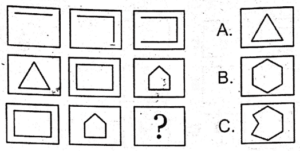 Non Verbal Army Test with Answers