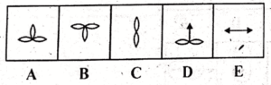 Non Verbal Ability Test