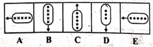 Non Verbal Reasoning Test Online