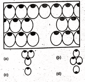 Non Verbal Reasoning Test Online