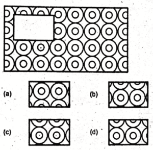 Non Verbal Initial Test