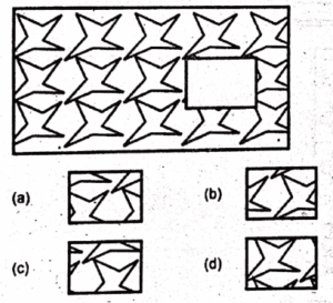 Non Verbal Initial Test