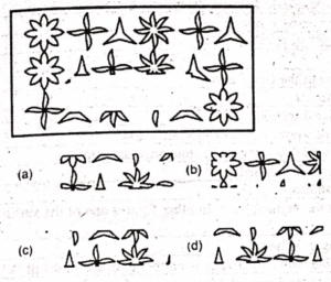 Non Verbal Initial Test