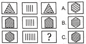 Non Verbal Intelligence test PAF