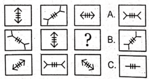 Non Verbal Test for ISSB