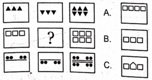 Non Verbal Test for ISSB