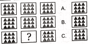 Non Verbal Test for ISSB