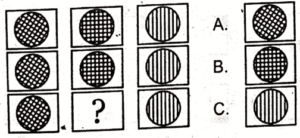 Non Verbal Test for ISSB