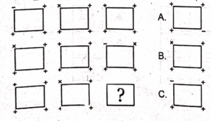 Non Verbal Test for ISSB