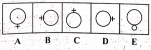 Non Verbal Ability Test