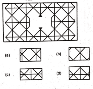 Non Verbal Initial Test