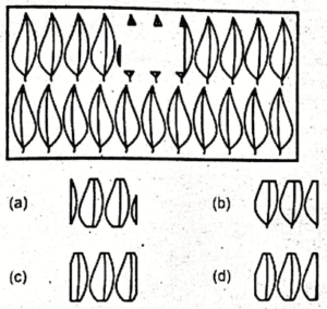 Non Verbal Initial Test