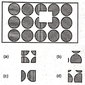 Non Verbal Initial Test